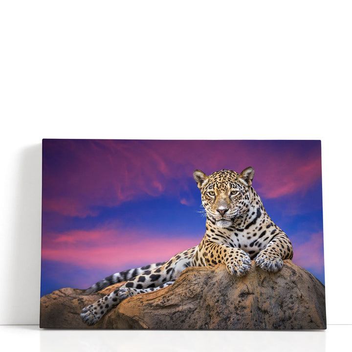 Jaguar On The Rocks - Canvas Print Wall Art