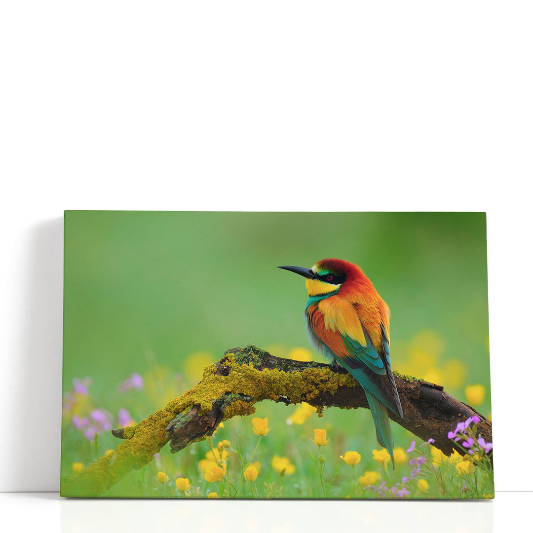 Bee-Eater Sitting on a Branch - Canvas Print Wall Art