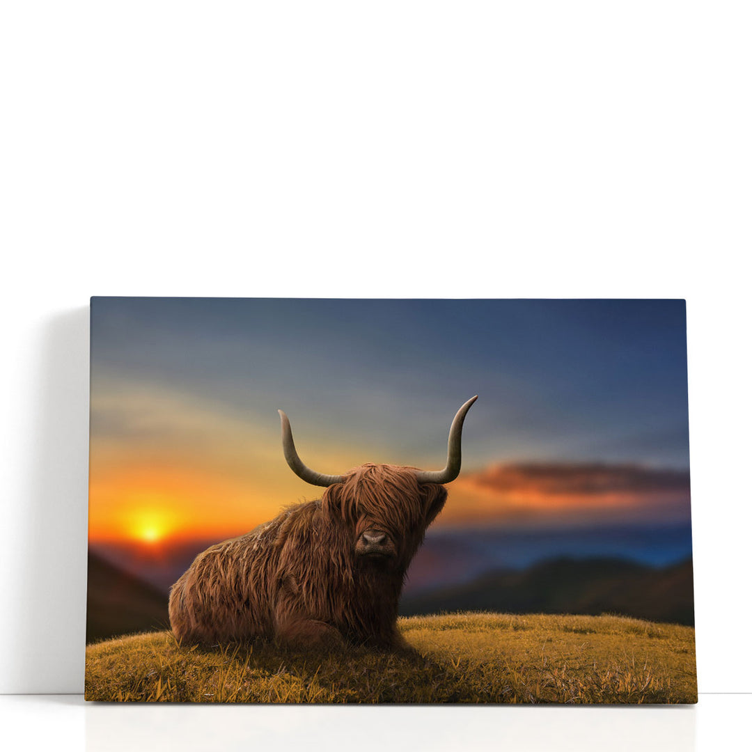 Large Highland Cow in a Meadow - Canvas Print Wall Art