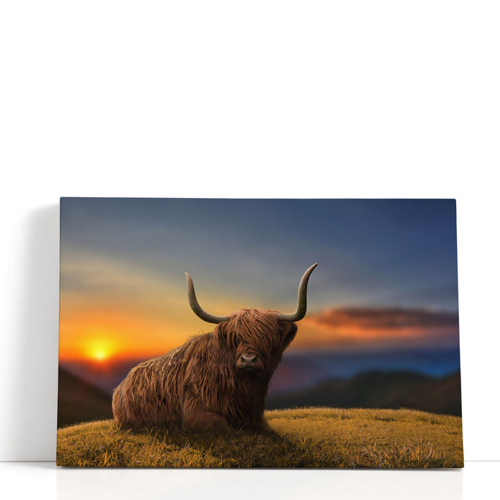 Large Highland Cow in a Meadow - Canvas Print Wall Art