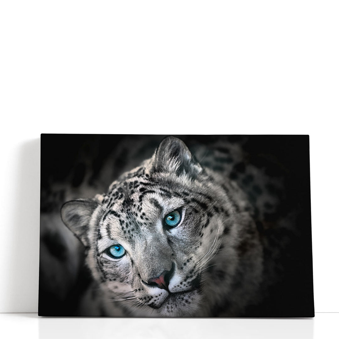 Snow leopard or Irbis Portrait Black and White - Canvas Print Wall Art