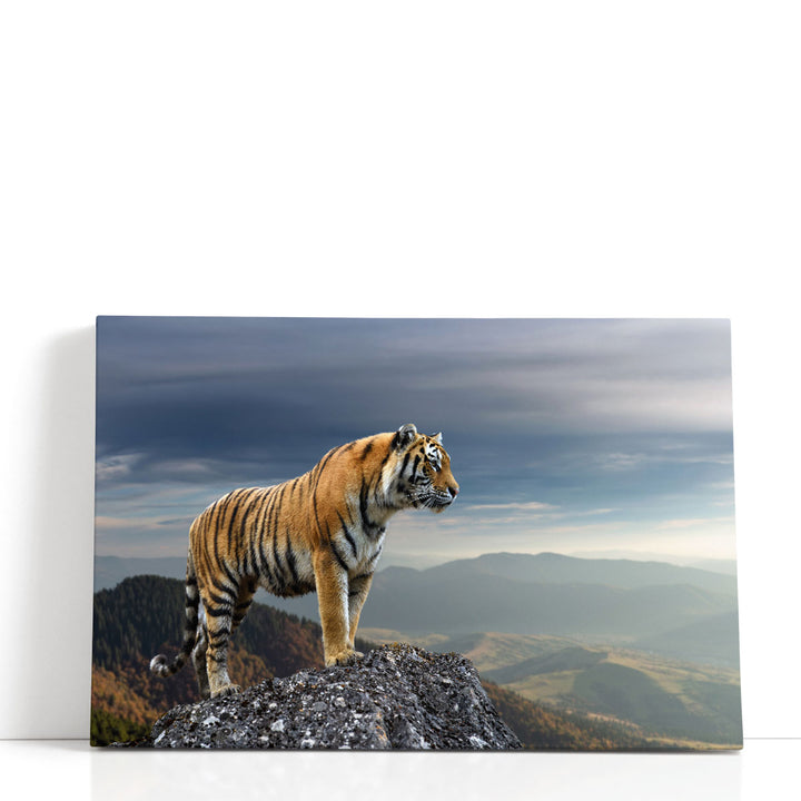 Tiger Standing On a Rock - Canvas Print Wall Art