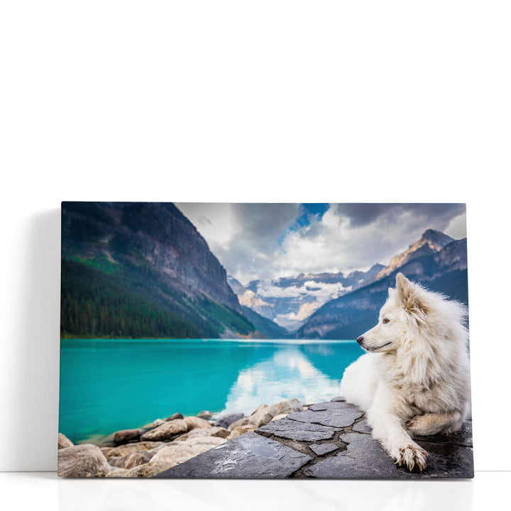 White Fox Sitting On A Lakefront Near Mountains - Canvas Print Wall Art