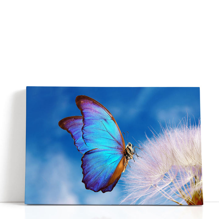 Morpho Butterfly and Dandelion Flower with Blue Sky - Canvas Print Wall Art