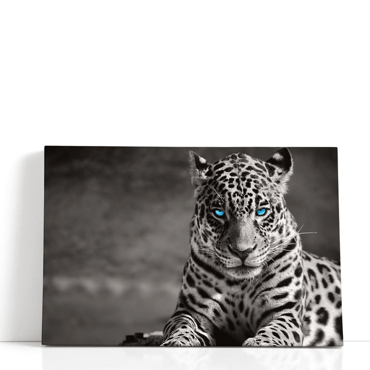 Black and White Jaguar With Blue Eyes - Canvas Print Wall Art