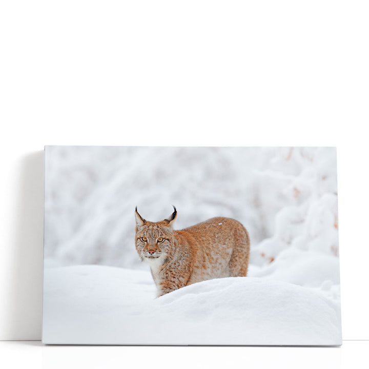 Eurasian Lynx in a Snowy Forest - Canvas Print Wall Art