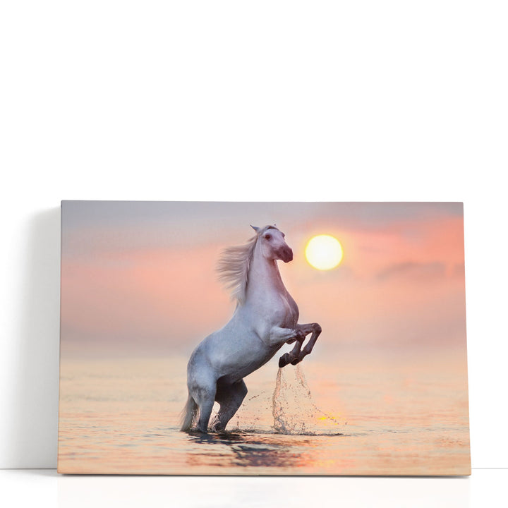 Modern Framed Horse Wall Art equine silhouette