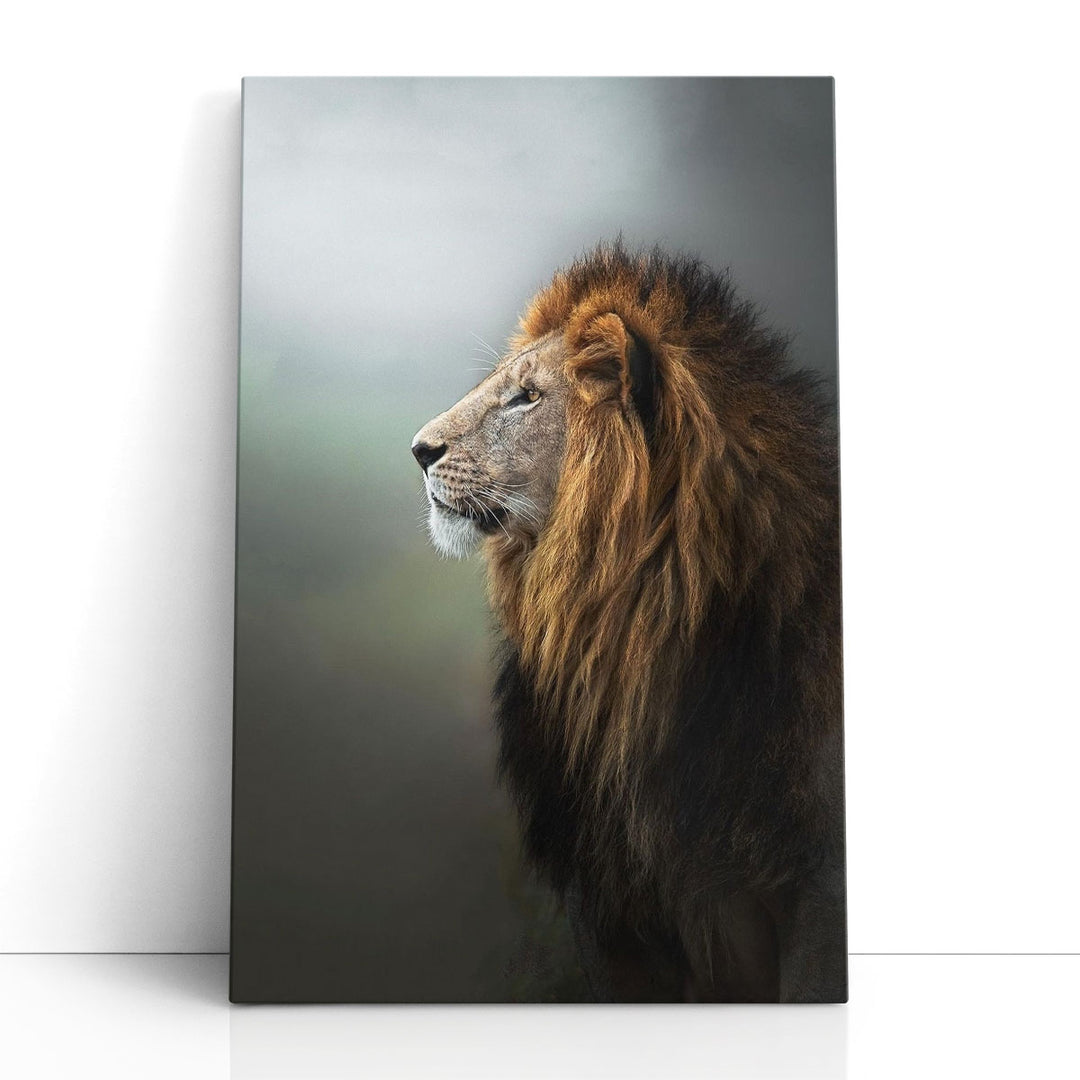 Magnificent Lion With A Large Lush Head of Hair - Canvas Print Wall Art