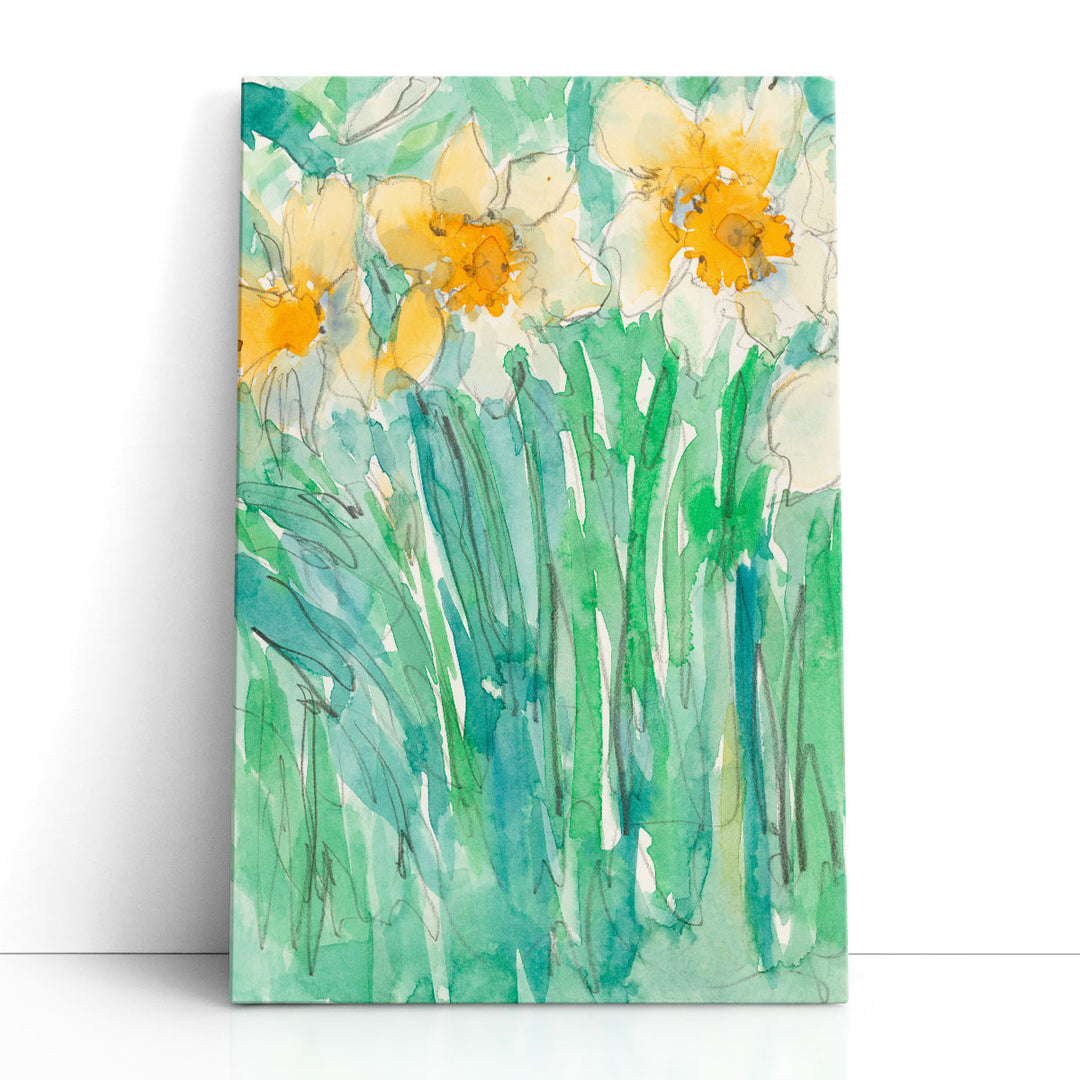 Daffodils Stems I - Canvas Print Wall Art
