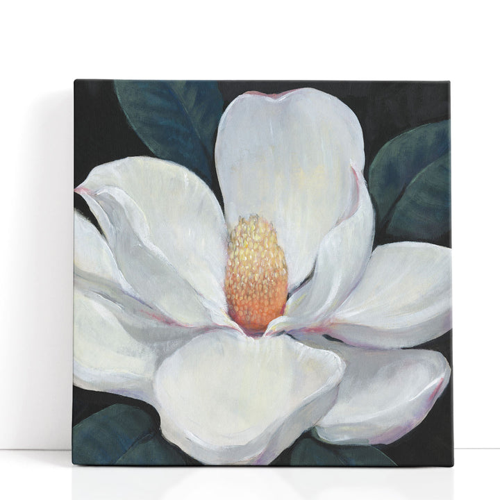 Blooming Magnolia I - Canvas Print Wall Art