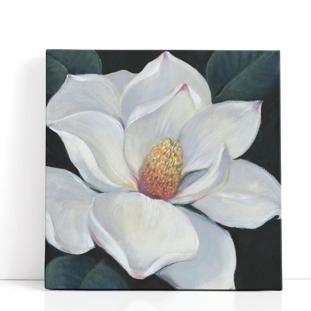 Blooming Magnolia II - Canvas Print Wall Art