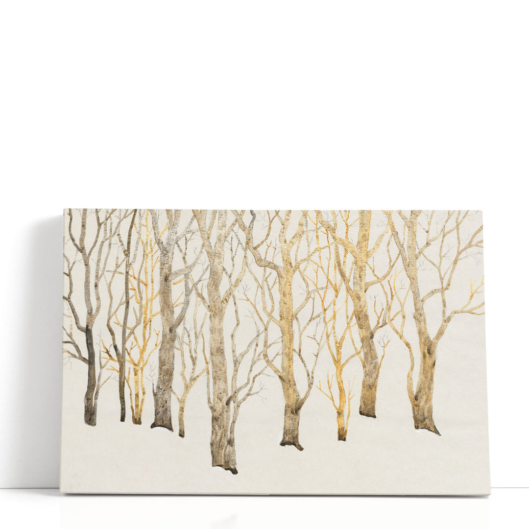 Bare Trees I - Canvas Print Wall Art