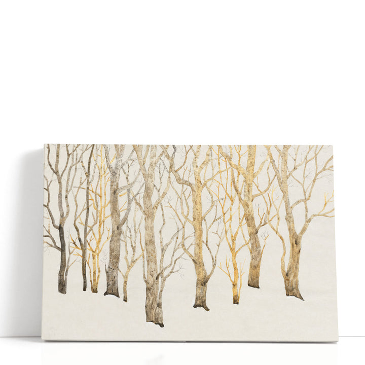 Bare Trees I - Canvas Print Wall Art