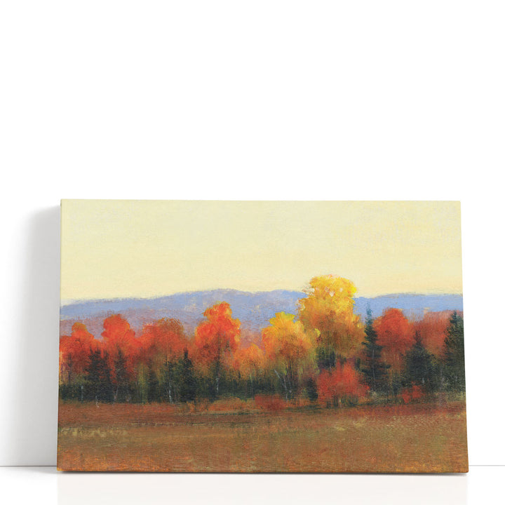 Changing Colors I - Canvas Print Wall Art