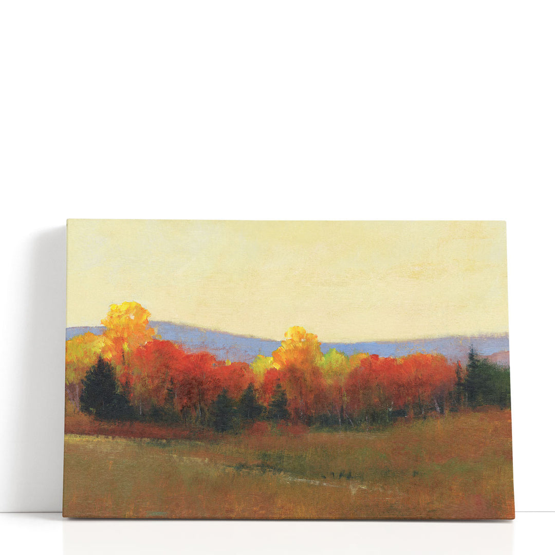 Changing Colors II - Canvas Print Wall Art