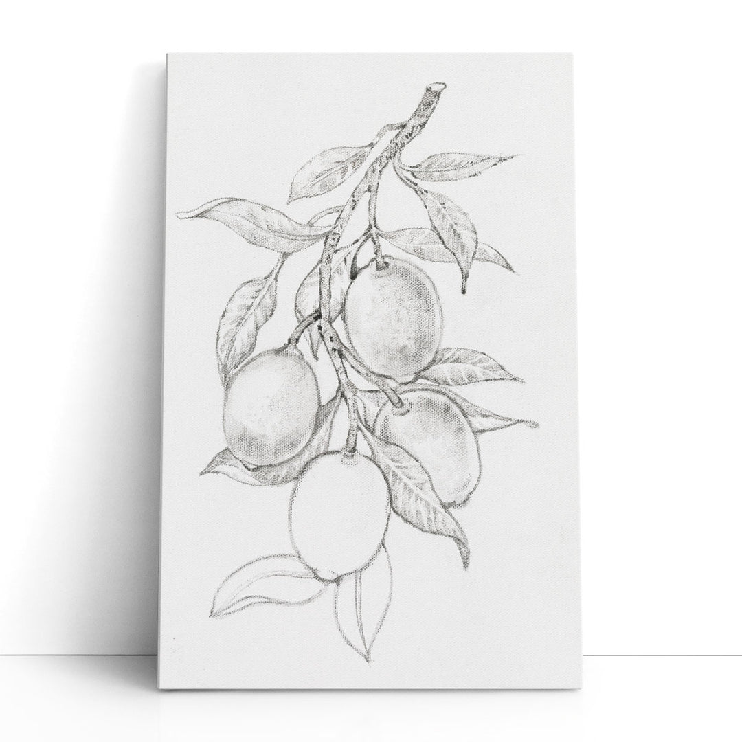 Fruit-Bearing Branch I Black and White - Canvas Print Wall Art