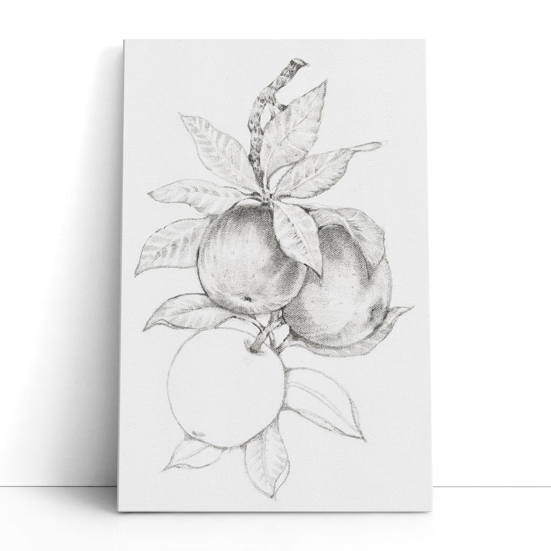 Fruit-Bearing Branch II Black and White - Canvas Print Wall Art