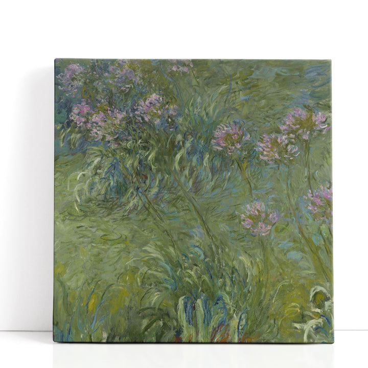 Agapanthus, 1914-26 - Canvas Print Wall Art