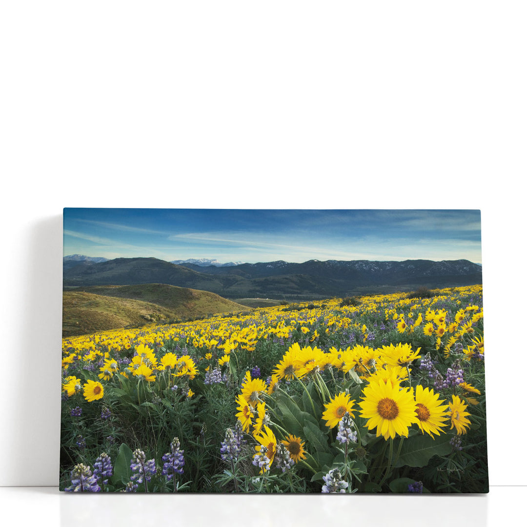 Yellow wildflower prints with vibrant floral design