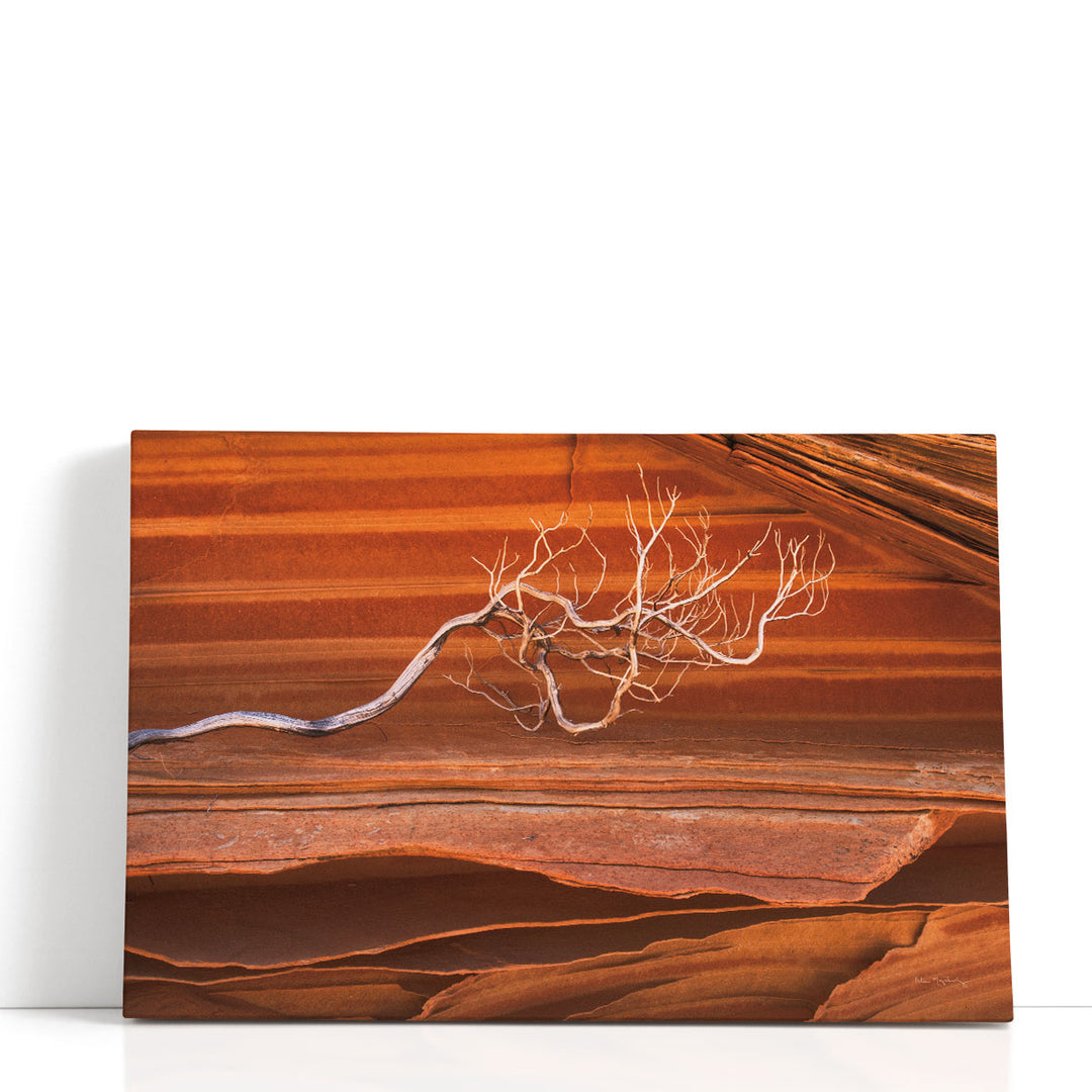 Coyote Buttes III - Canvas Print Wall Art