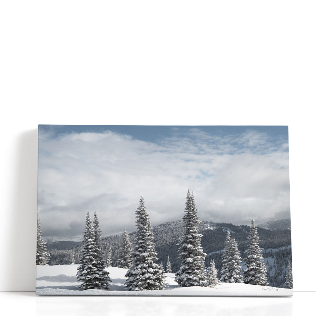 North Cascades in Winter II - Canvas Print Wall Art