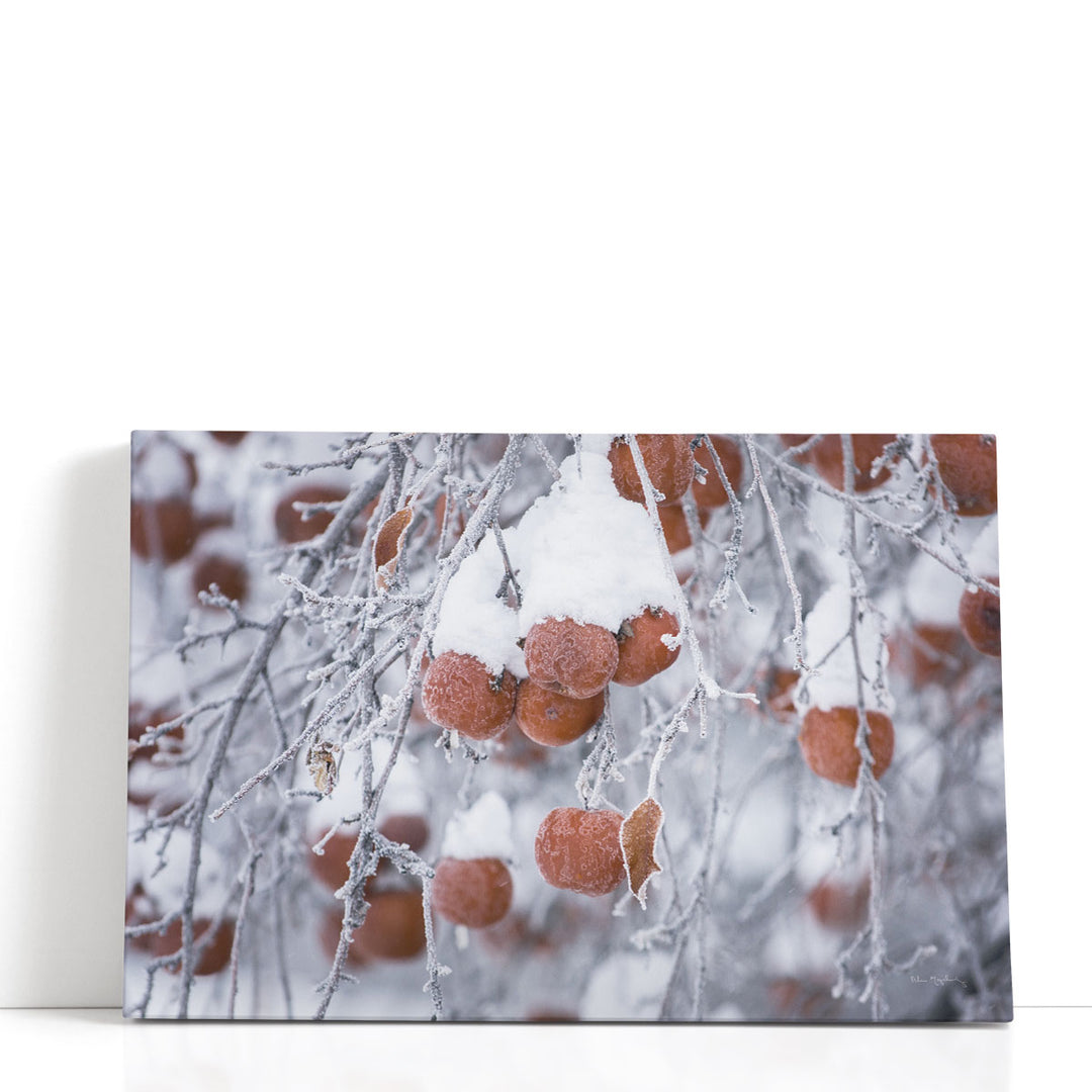 Orchard in Winter - Canvas Print Wall Art