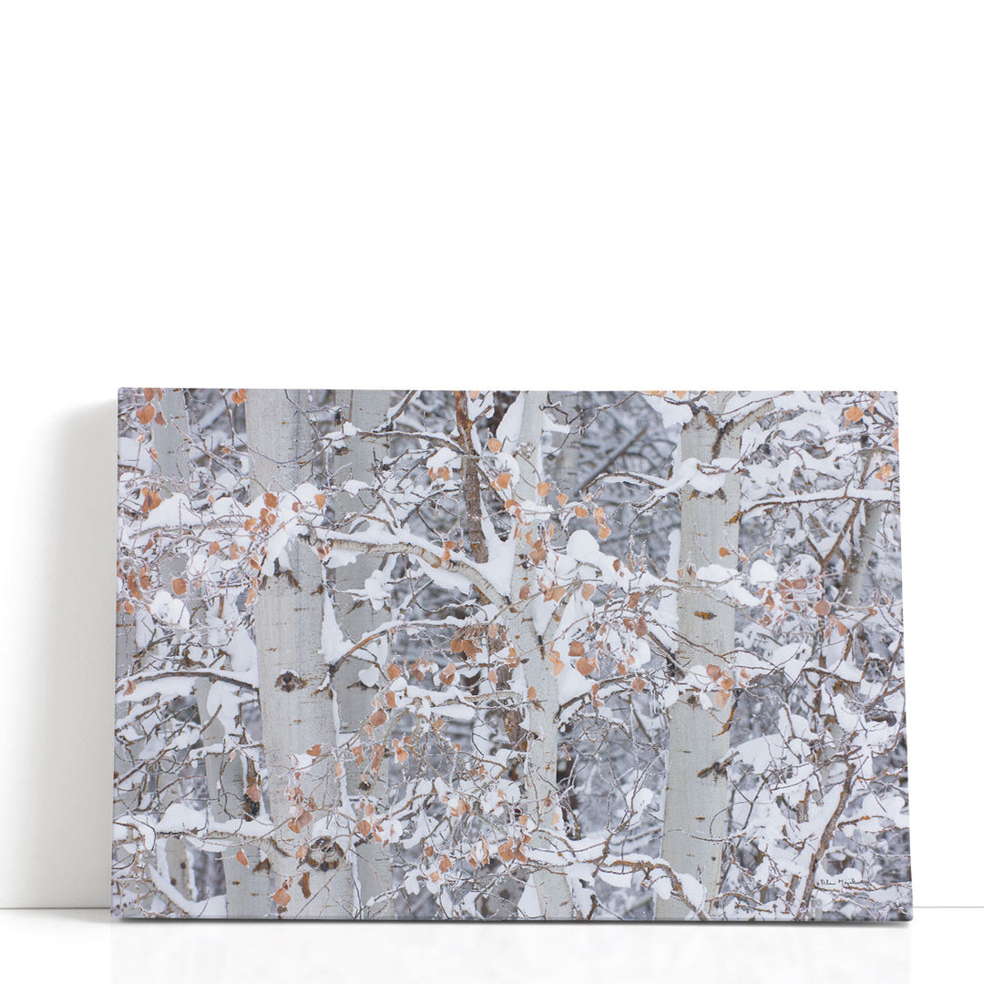 Tree canvas prints in snowy abstract style