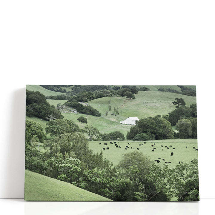 Green tree canvas art with open grassy field