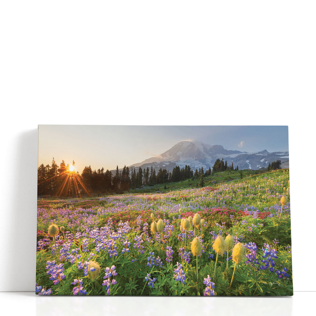 Paradise wildflower wall art with purple flowers in bloom