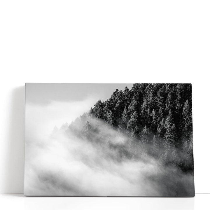Fog and Forest I Black and White - Canvas Print Wall Art