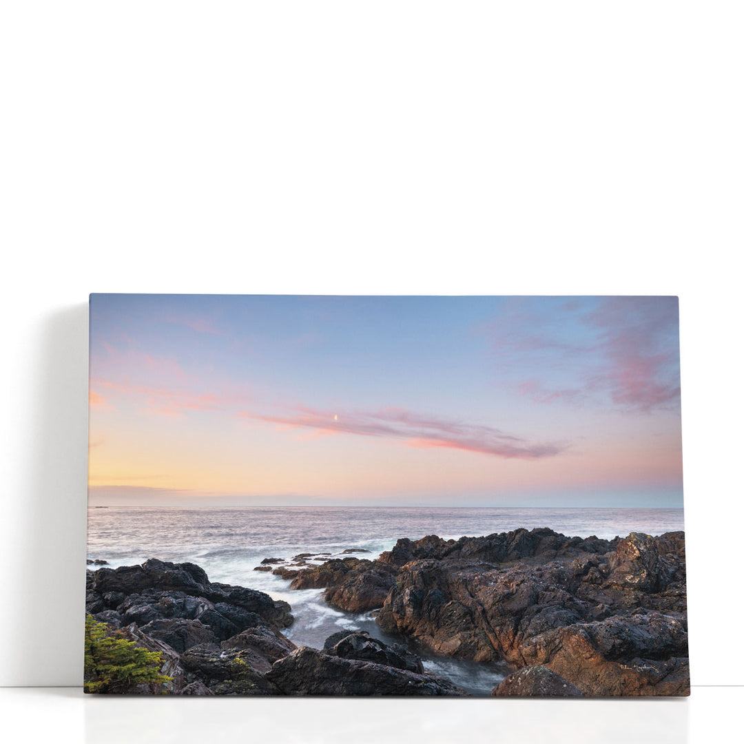 Rugged Coast Along Wild Pacific Trail - Canvas Print Wall Art