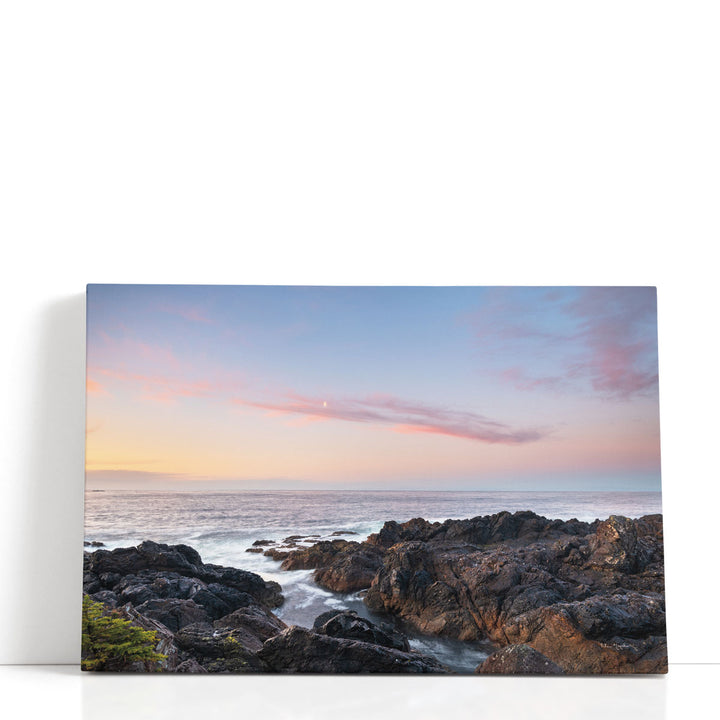 Rugged Coast Along Wild Pacific Trail - Canvas Print Wall Art