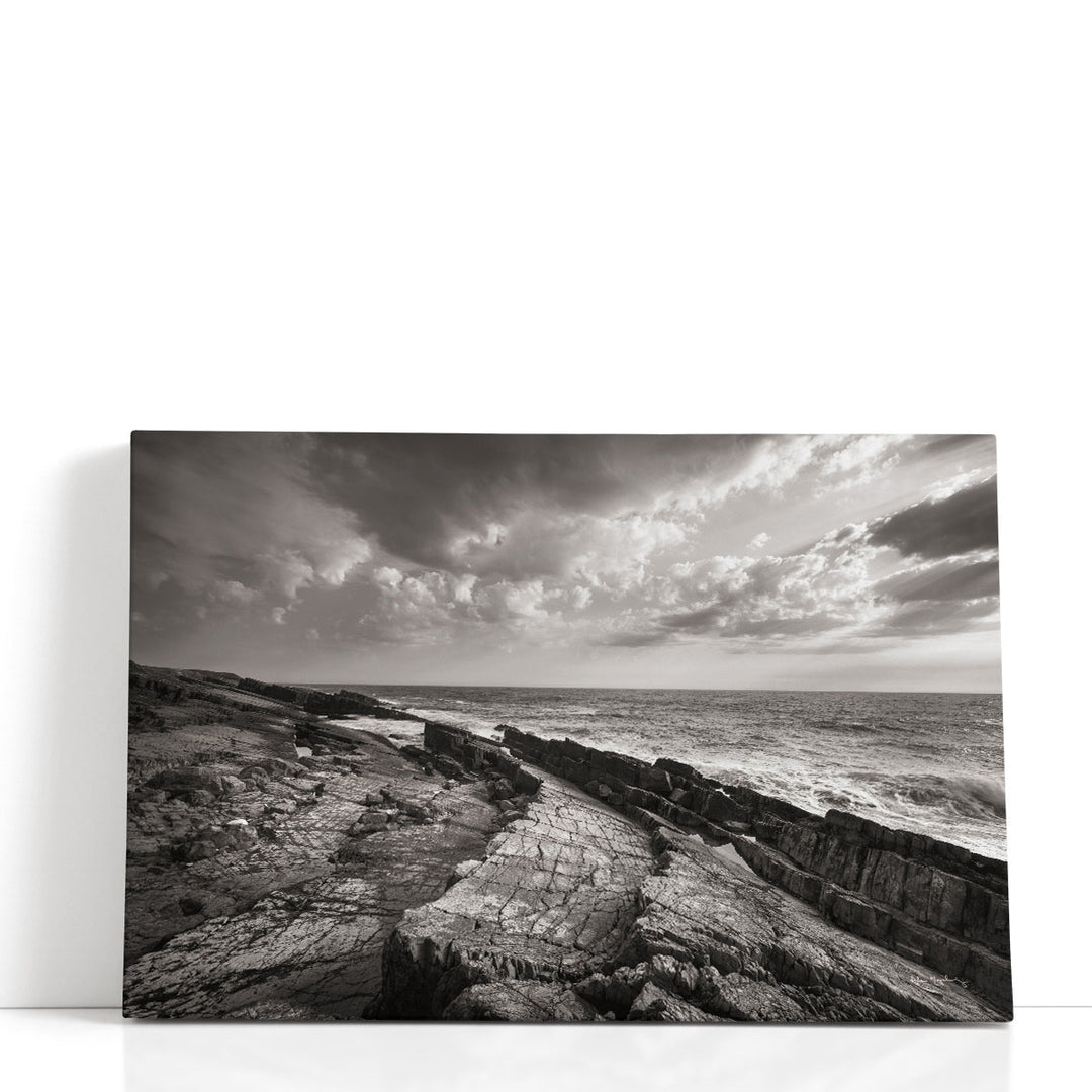 Avalon Peninsula - Canvas Print Wall Art