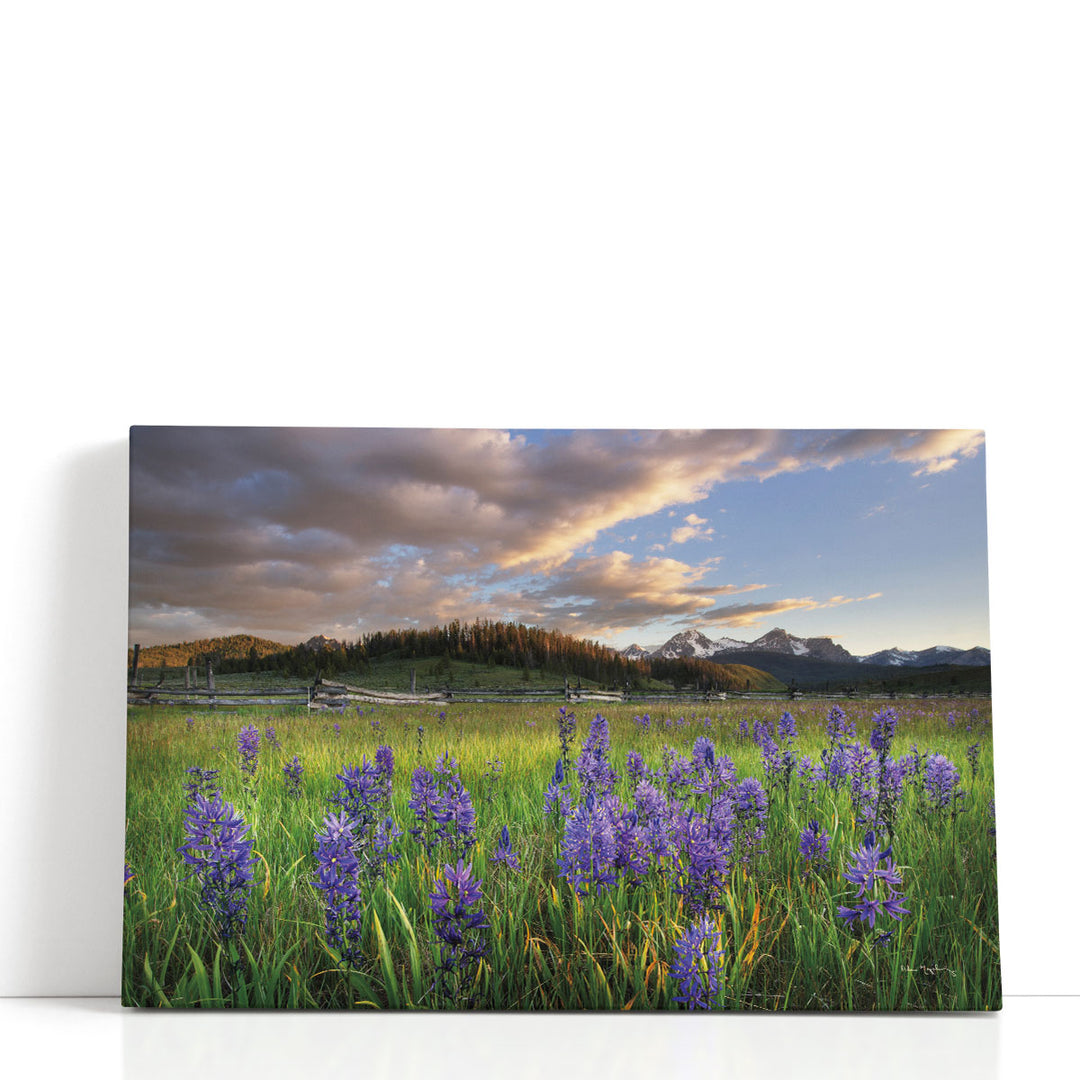 Camas Meadows - Canvas Print Wall Art