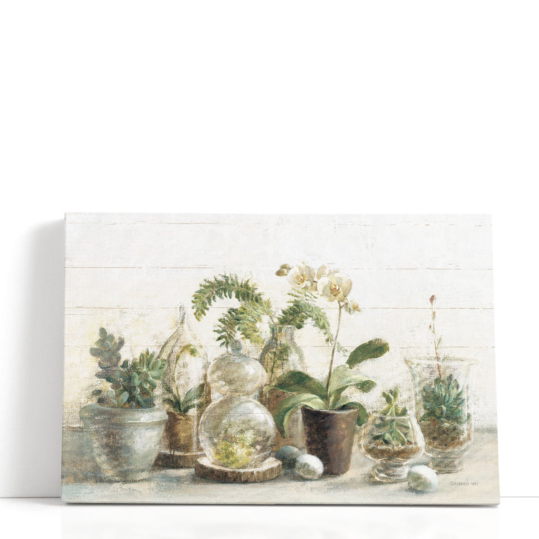 Greenhouse Orchids on Shiplap - Canvas Print Wall Art