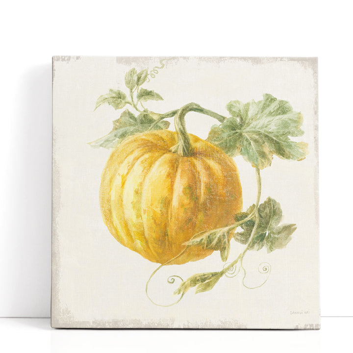 vintage vegetable prints – antique pumpkin illustration