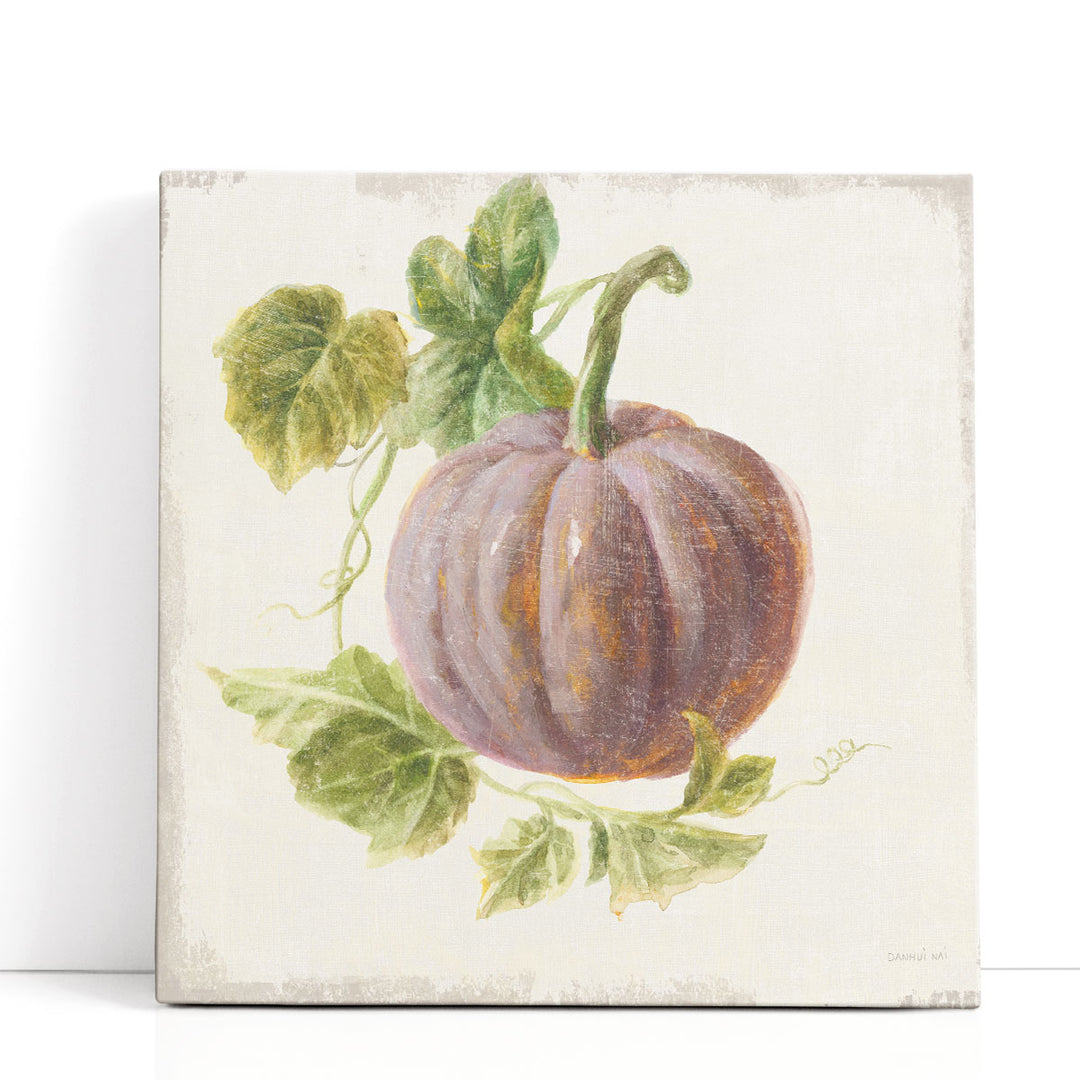 vintage vegetable prints – heirloom pumpkin sketch