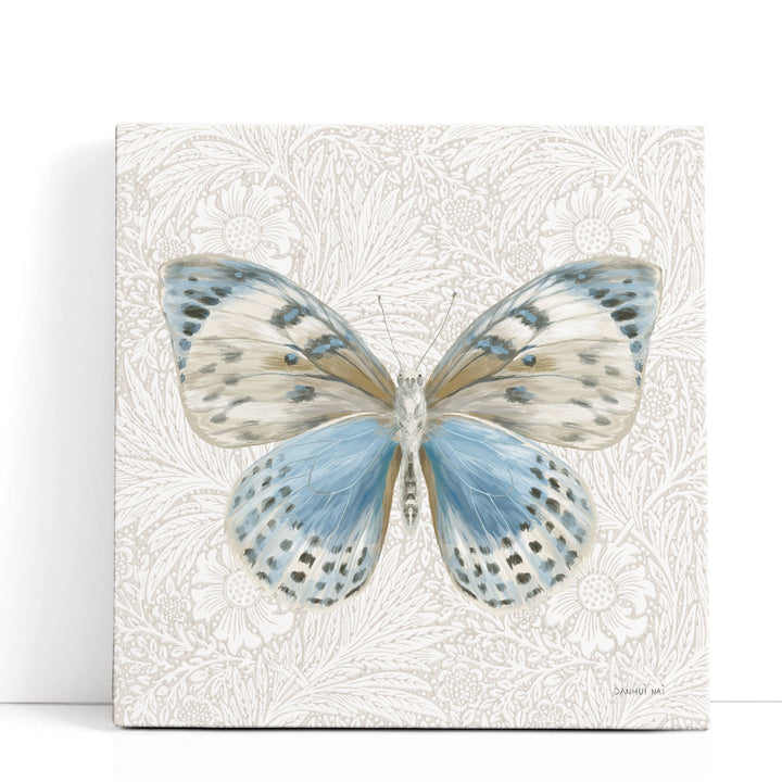 Beetles and Butterflies IV - Canvas Print Wall Art