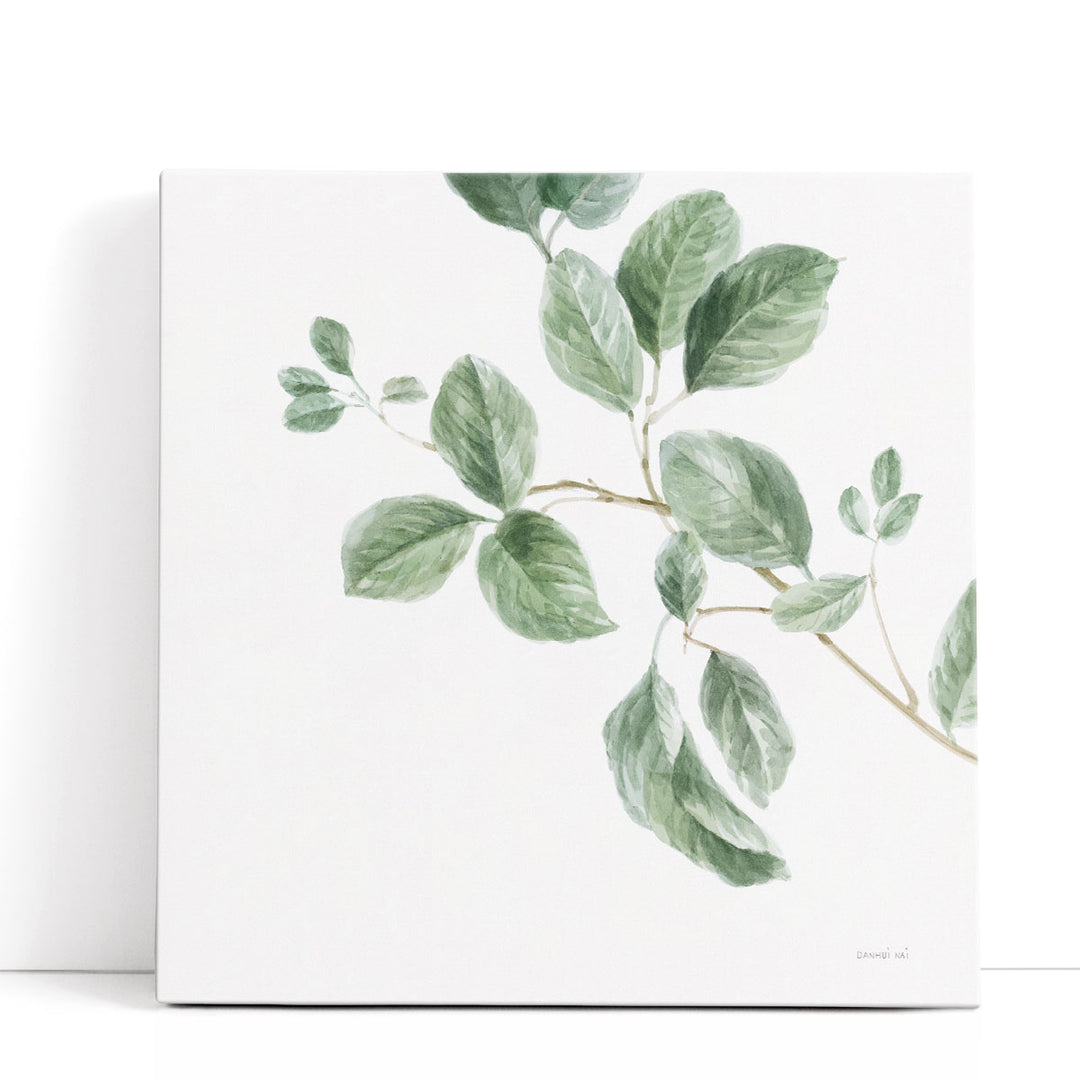 A Study of Leaves - Canvas Print Wall Art