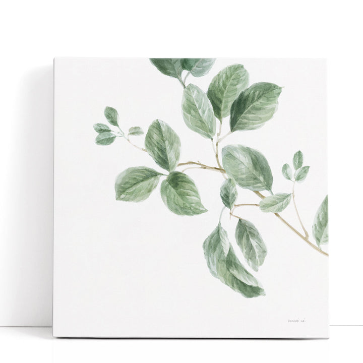 A Study of Leaves - Canvas Print Wall Art