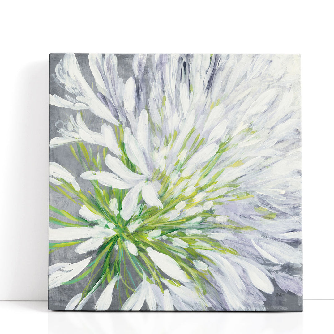 Cleome Splash II - Canvas Print Wall Art