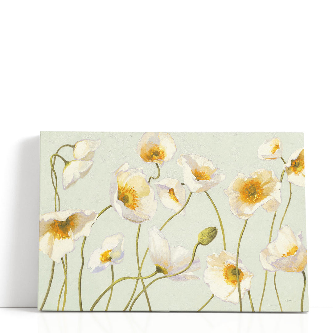 White and Bright Poppies - Canvas Print Wall Art