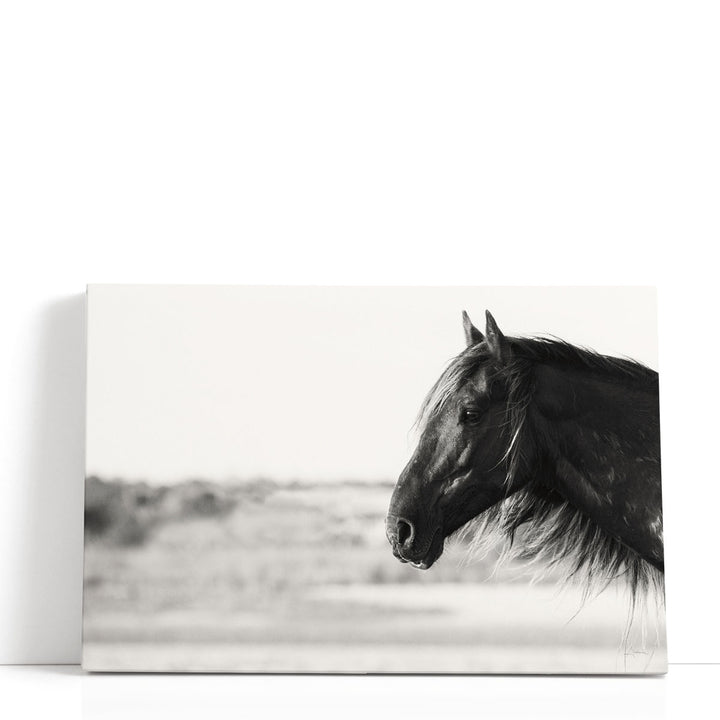 Pretty Girl Black and White - Canvas Print Wall Art