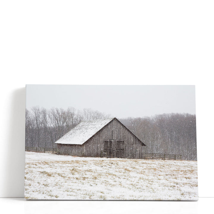 First Snow - Canvas Print Wall Art