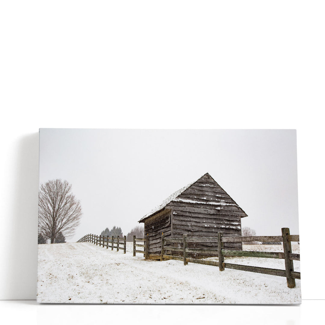 Coming to the Barn - Canvas Print Wall Art