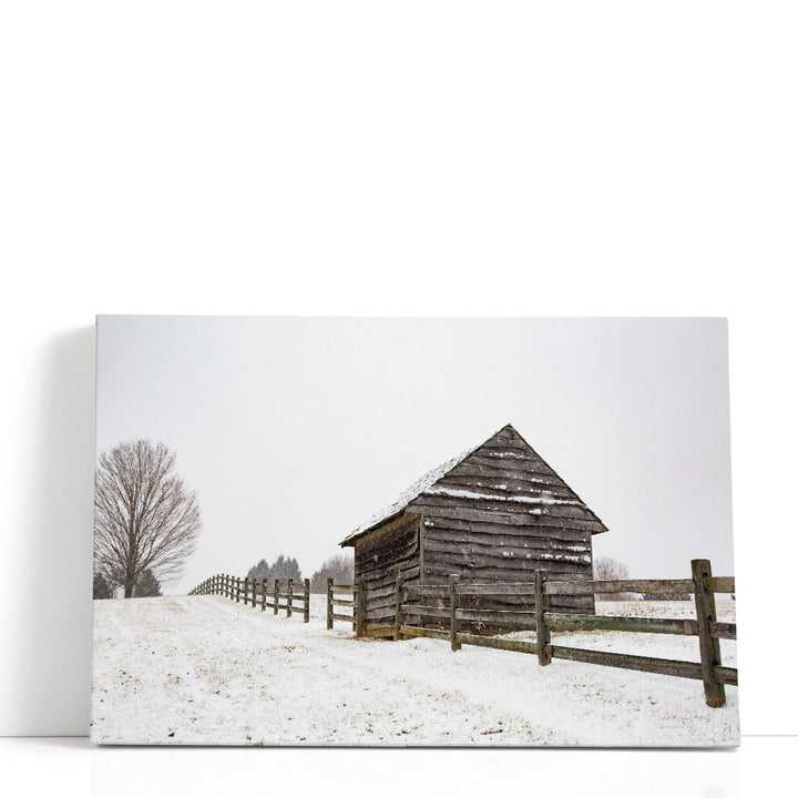 Coming to the Barn - Canvas Print Wall Art