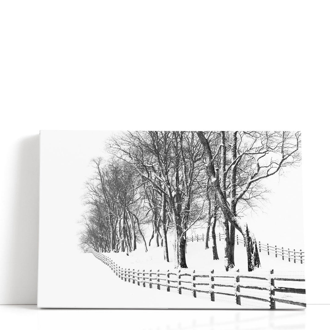 Winter Wonderland - Canvas Print Wall Art