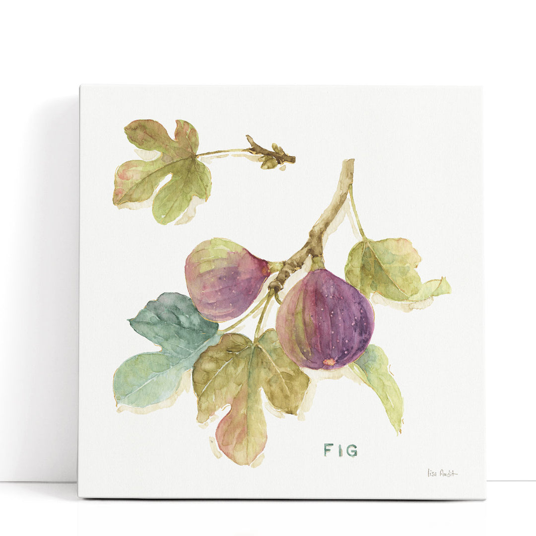 Orchard Bloom III - Canvas Print Wall Art