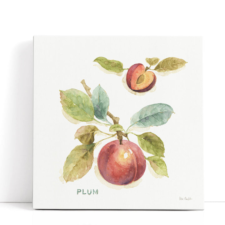 Orchard Bloom IV - Canvas Print Wall Art