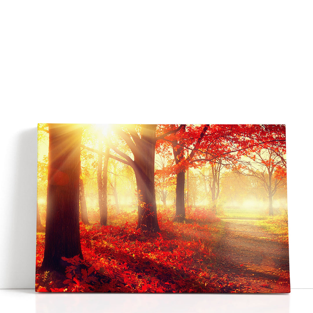 Autumn Mist Grove - Canvas Print Wall Art